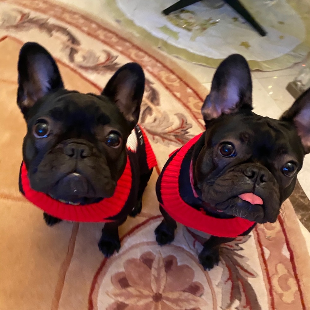 Meet your Posher, Chrissie